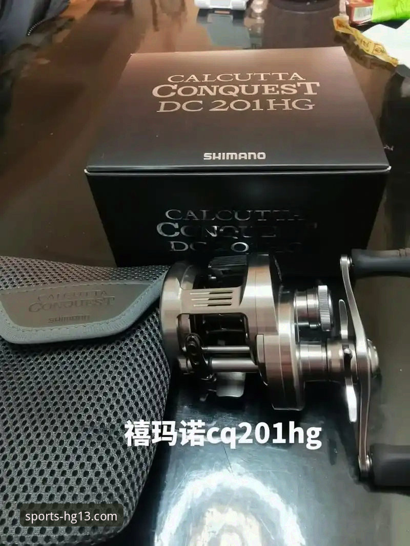 揭秘HG13体育平台：最新版本下载对比与深度技术评测